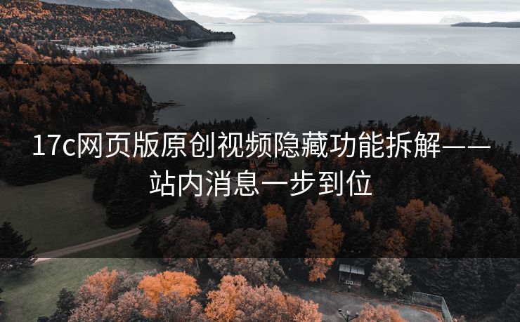 17c网页版原创视频隐藏功能拆解——站内消息一步到位